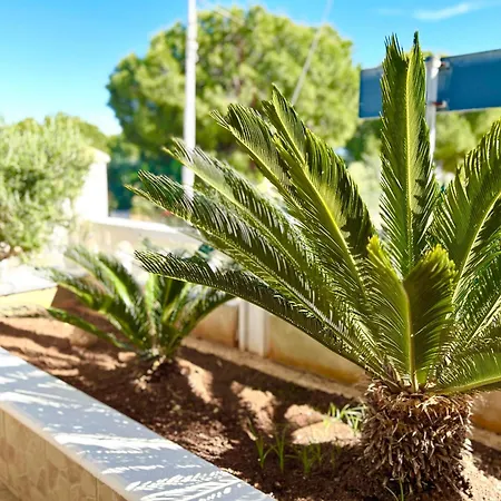 Azure Haven -